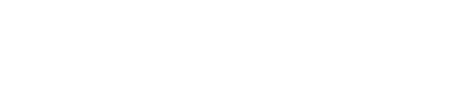 Agency 96